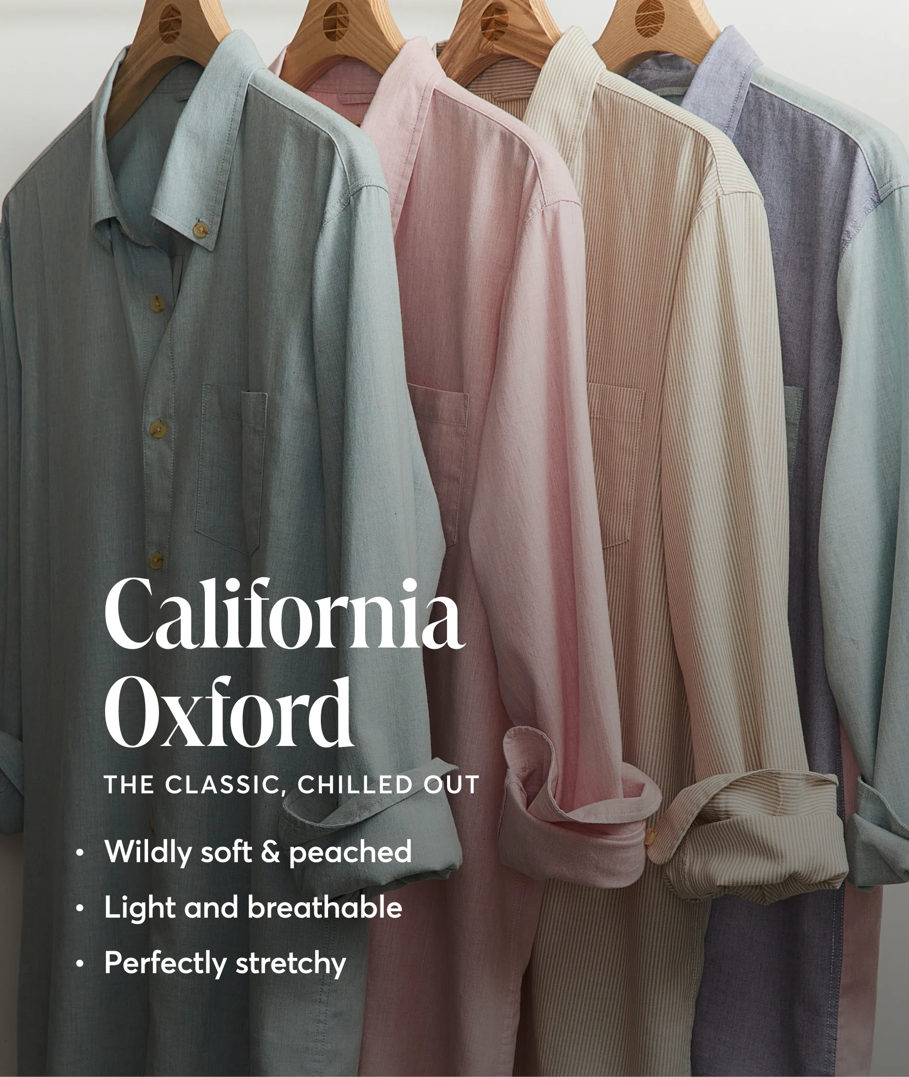 California Oxford Shirt - Image 7
