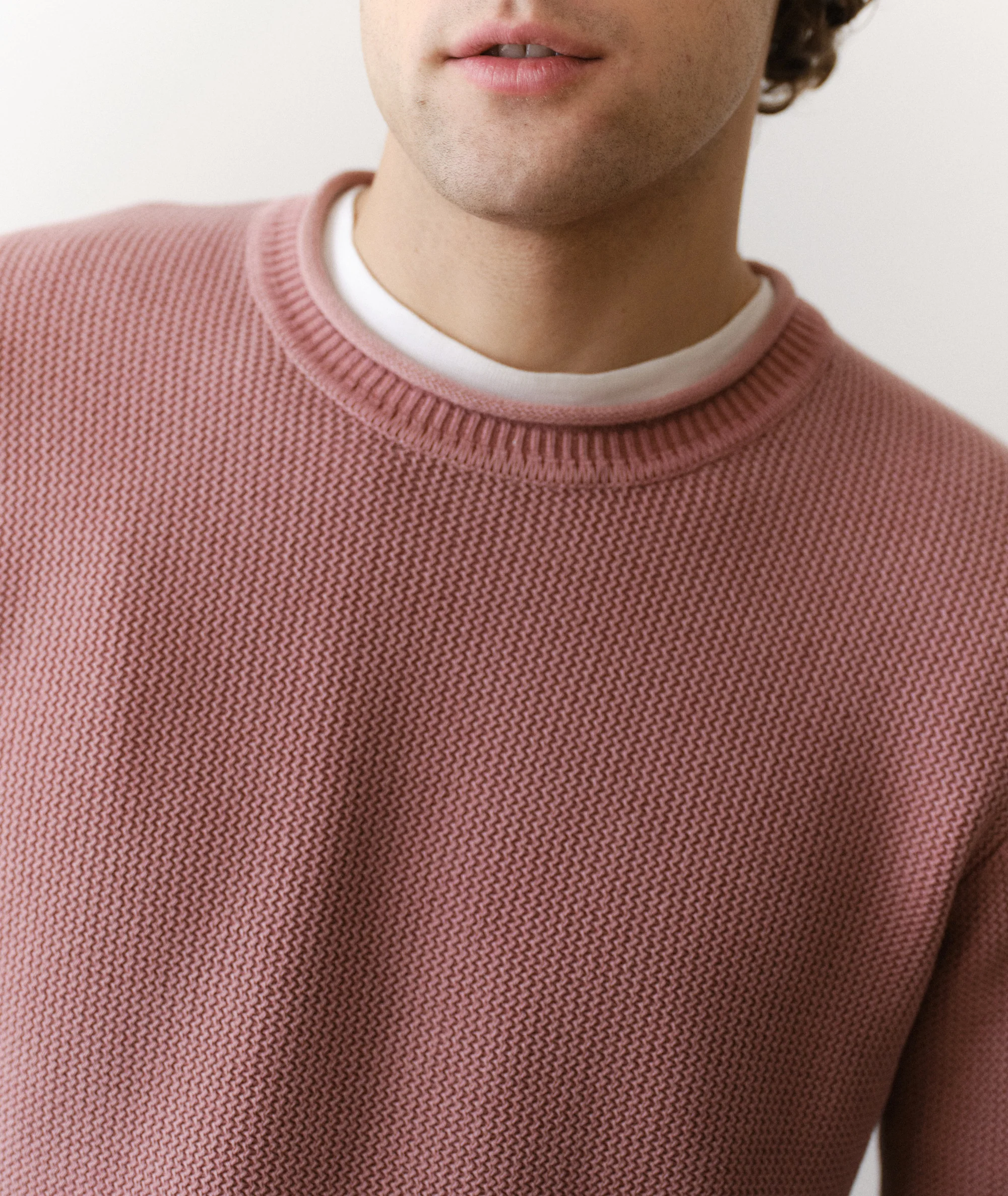 Noah Rollneck Sweater - Image 4